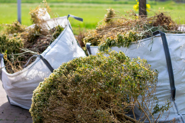 Debris Removal in Port Richey, FL